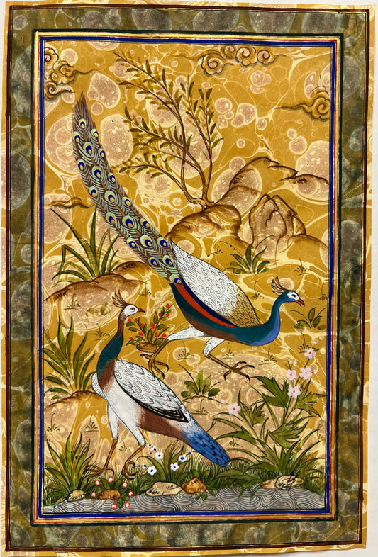 Peacocks